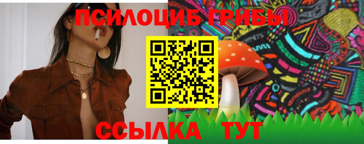Псилоцибиновые грибы прущие грибы  Вход с VPN  Благодарный 